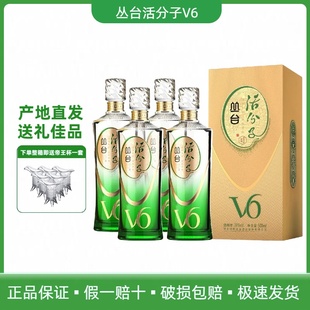 丛台酒活分子V6浓香型白酒39度低度500ml*4瓶整箱送礼商务用酒