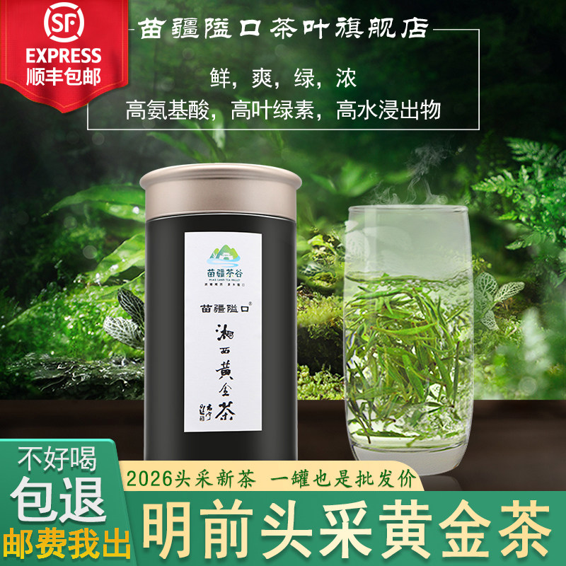 2026明前特级一号绿茶苗疆隘口