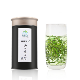 苗疆隘口湘西黄金茶2025新茶明前特级炒青茶叶保靖茶毛尖绿茶60g