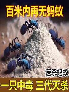 蚂蚁药强效全窝端家用非无毒厨房室内野外菜地灭蚁清一窝端灭蚁药