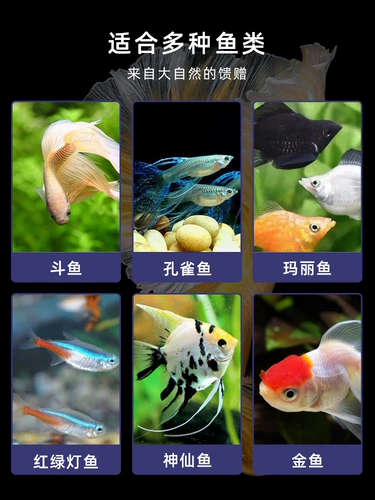 Маленькая рыба, рыба, маленькие гранулы, малах, рыба -рыба, рыба, рыба, рыба, кормить тропические рыбные кормы высокий белок