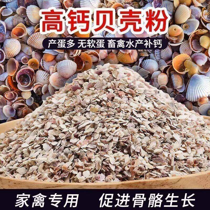 厂家直销贝壳粉防下软蛋