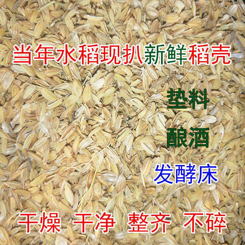 新鲜稻壳谷壳100斤包邮米