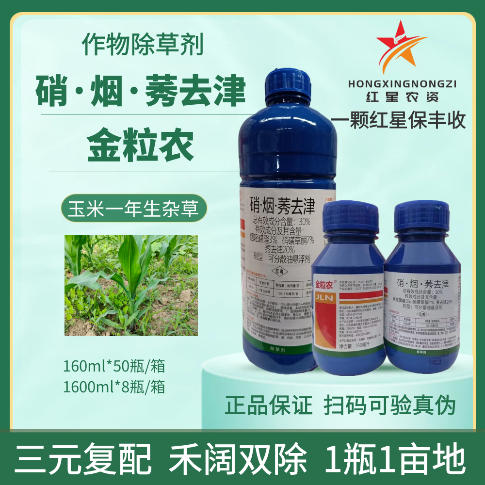 金粒农玉米田苗后除草剂安全有效