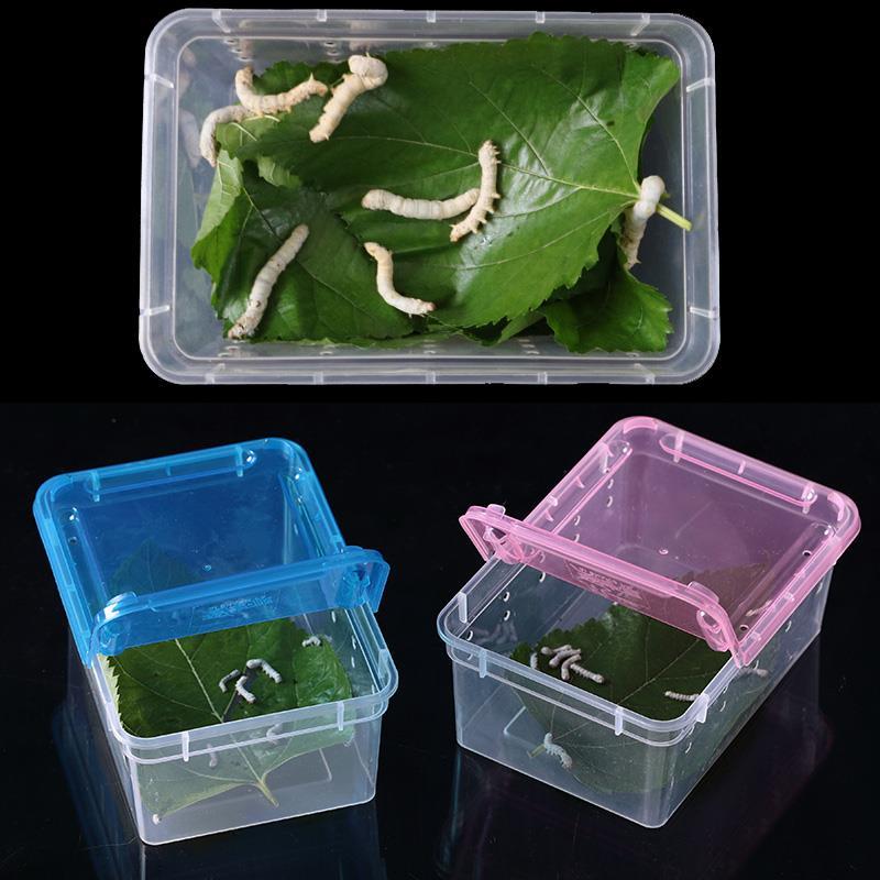 养蚕专用盒蚕宝宝专用饲养盒爬宠饲养箱养蚕用的盒子蚕活体高透养
