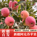 包邮 阿克苏糖心苹果脆甜多汁不打蜡不打保鲜剂书顺丰 新疆直发