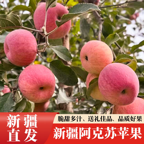 阿克苏糖心苹果不打蜡
