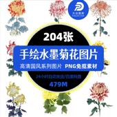 国画手绘菊花水墨菊花水彩花卉重阳节装 饰画海报背景PNG免扣素材