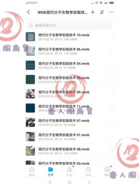 现代分子生物学实验技术视频 12集 1163M教学教程唐人阁