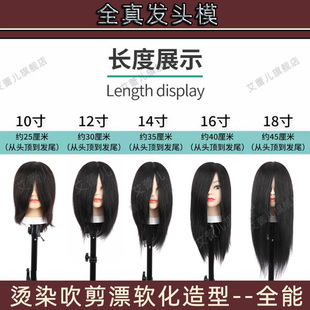 头模美发专用练习烫染造型真发头模理发店美发模特头假人模型头发