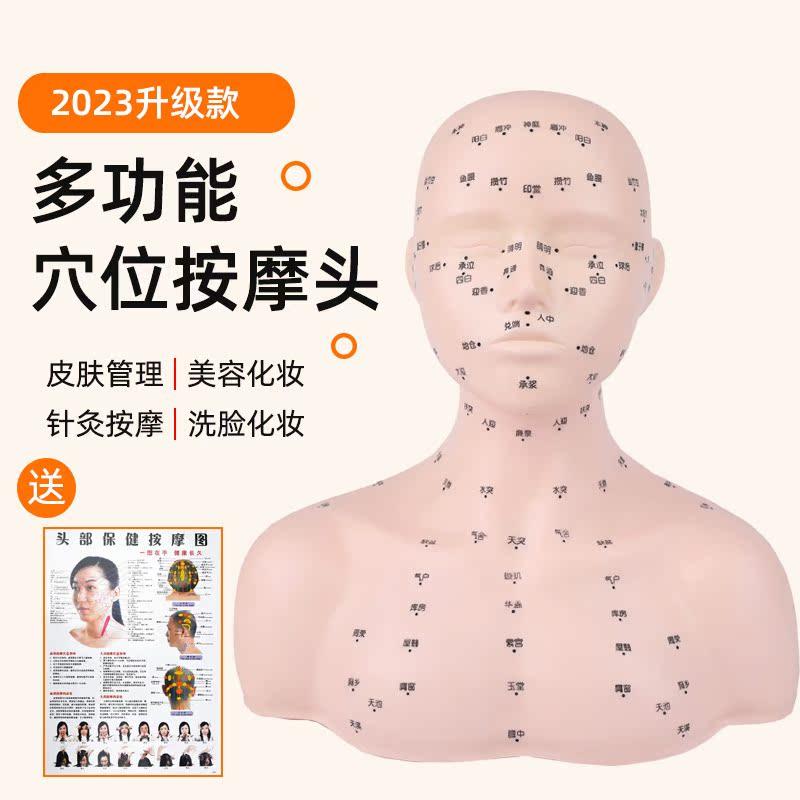 艾蕾儿美容练习模特头按摩手法