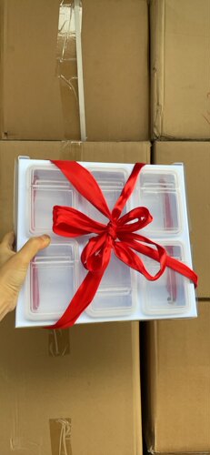 0.3L*6个迷你保鲜盒试吃盒水果食物分装盒收纳塑料盒品牌礼品