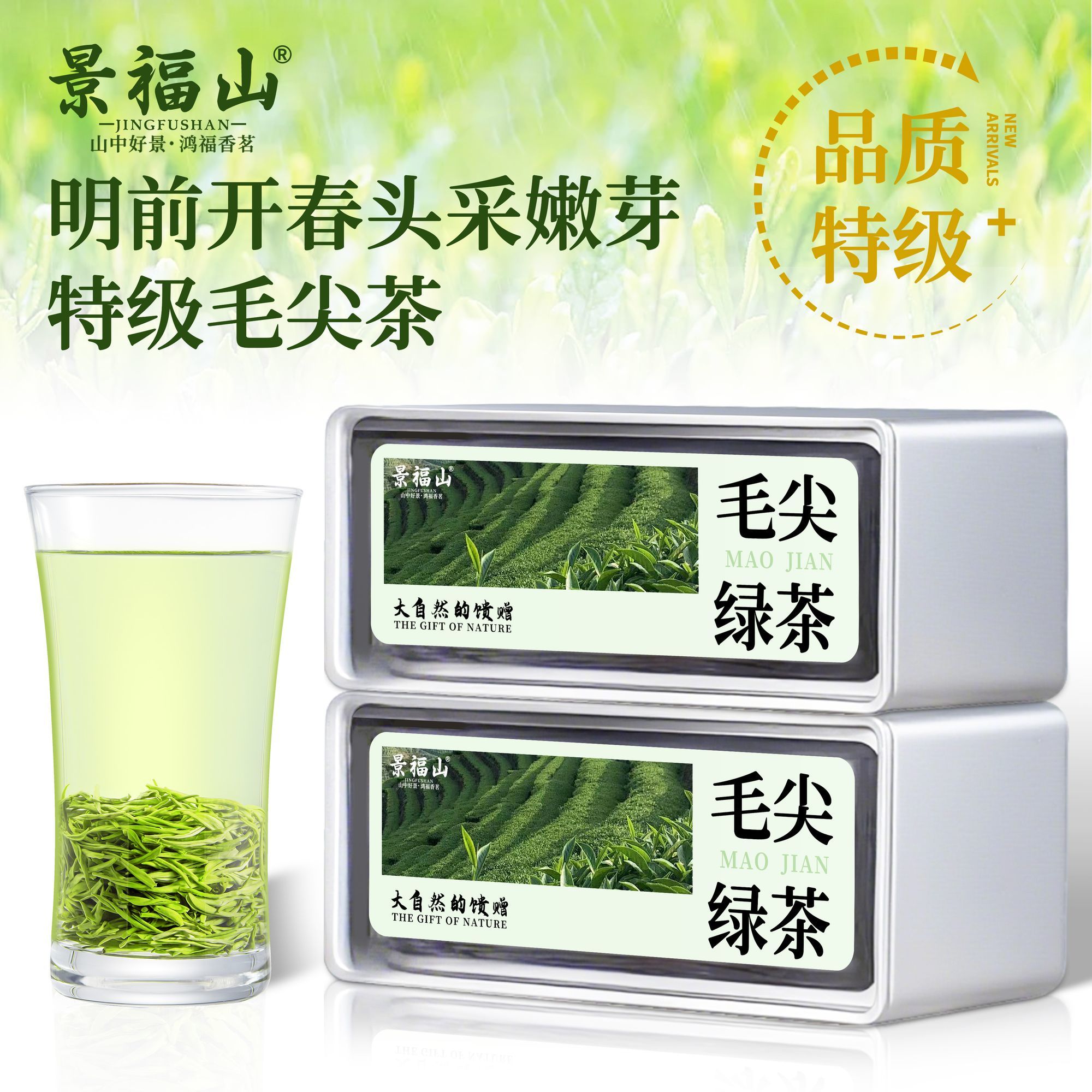 景福山特级毛尖绿茶正宗河南高山明前新茶头采嫩芽毛尖浓香型100g