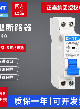 正泰NXB-40家用空气开关小型断路器100A电闸2P 43A 63A 总闸1p32a