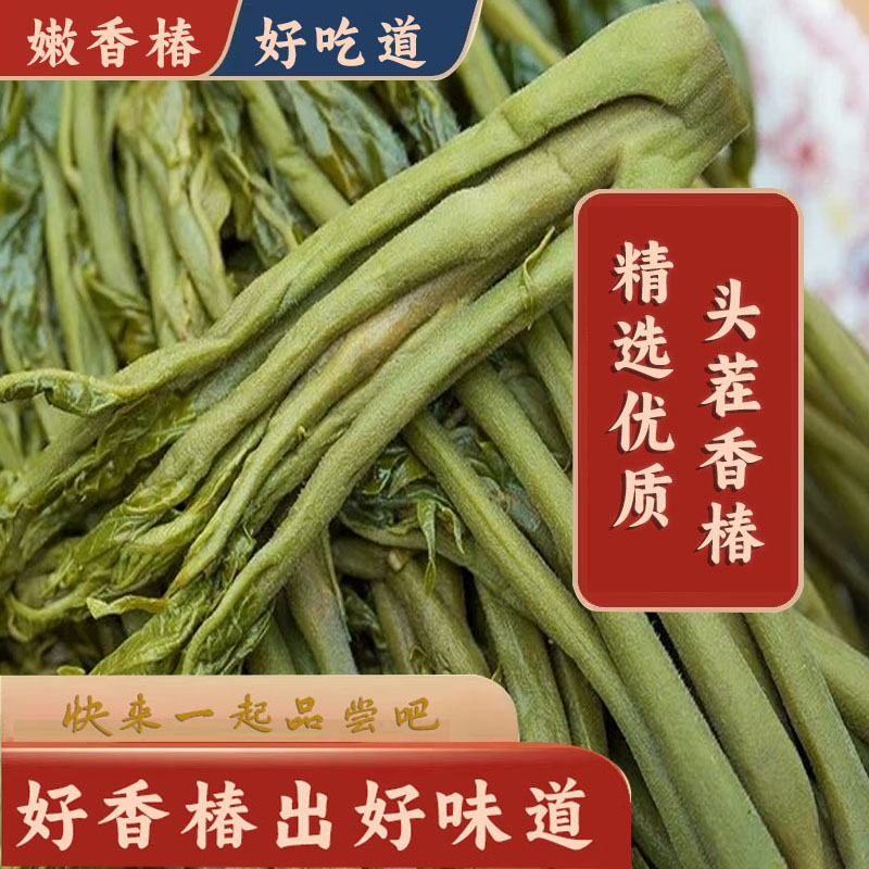 香椿芽咸菜下饭鲜香椿芽