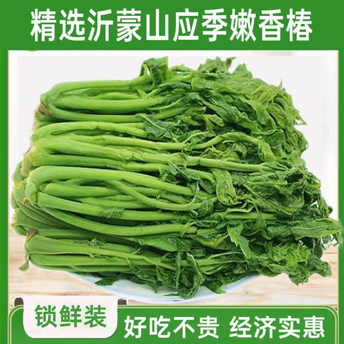 香椿芽山东特产新鲜腌制香椿头茬红香椿下饭菜酱菜