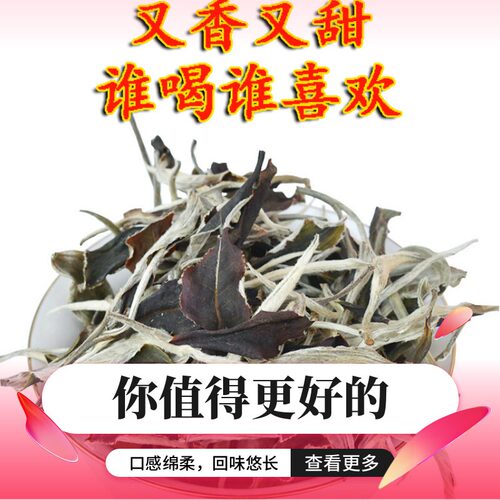 云南白茶古树白茶蜜香月光白生态