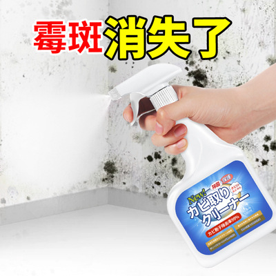 墙体除霉剂去霉斑霉菌清洁剂