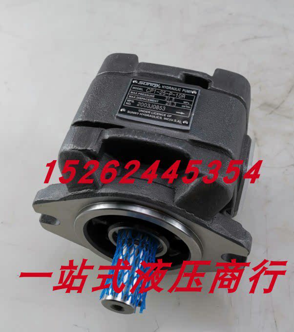 现货美国sunny桑尼液压油泵2520v叶片泵3520v 3525v 4525v 4535v