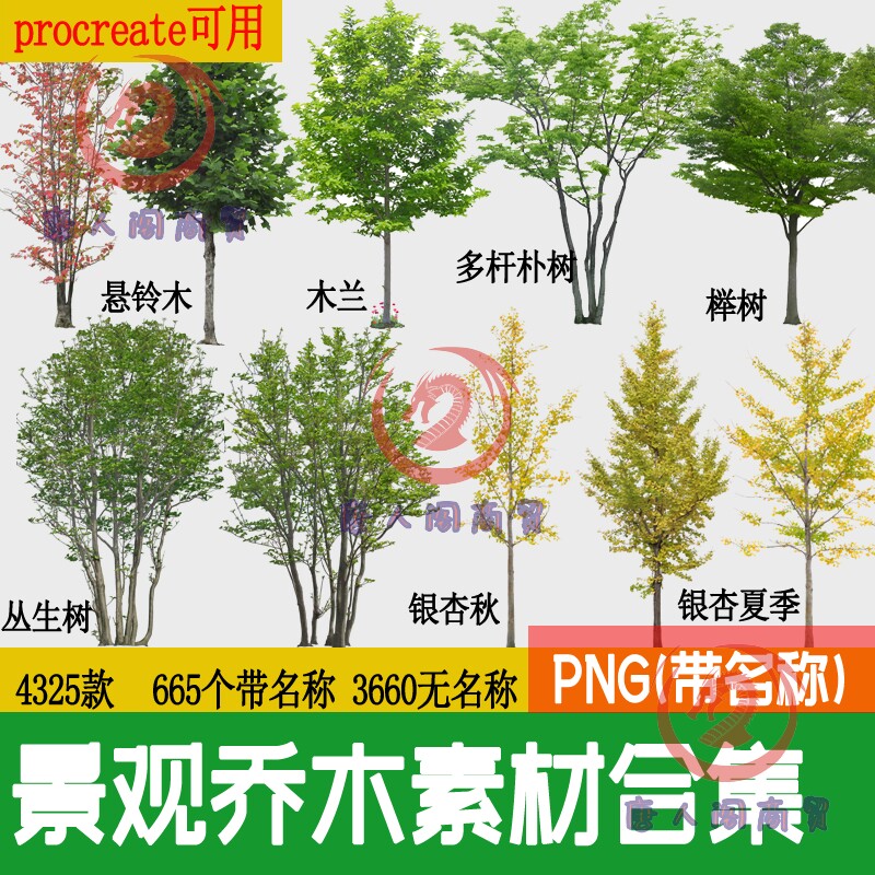 园林景观乔木 ps素材png免抠常用树木植物效果图后期psd常绿小乔