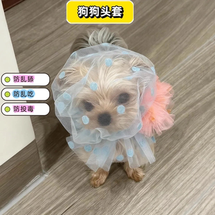 狗狗头套防偷吃乱吃头纱透气宠物专用小狗嘴套防误食面罩防舔网套