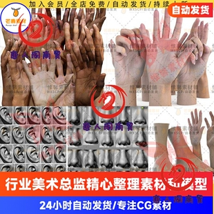 Zbrush高精度扫描手脚3D模型OBJ耳朵鼻子影视级高模FBX人类手掌