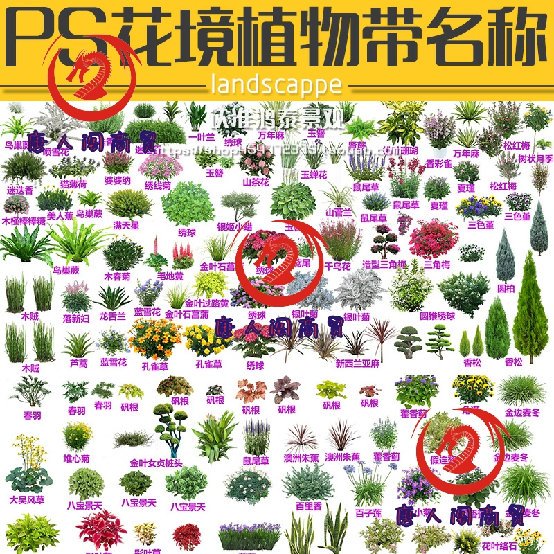 2023高清ps花境设计植物免扣psd素材PS花境植物带名称ps分层素材