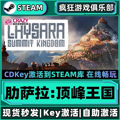 Steam正版肋萨拉顶峰王