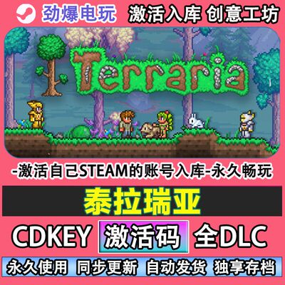 泰拉瑞亚steam激活码