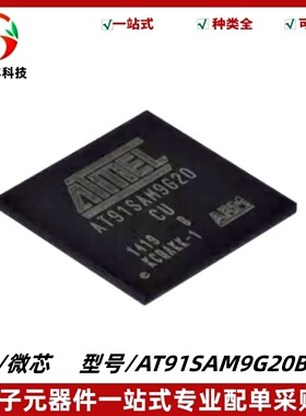 AT91SAM9G20B-CU 封装LFBGA-217 微控制器IC MCU单片机 质量保证