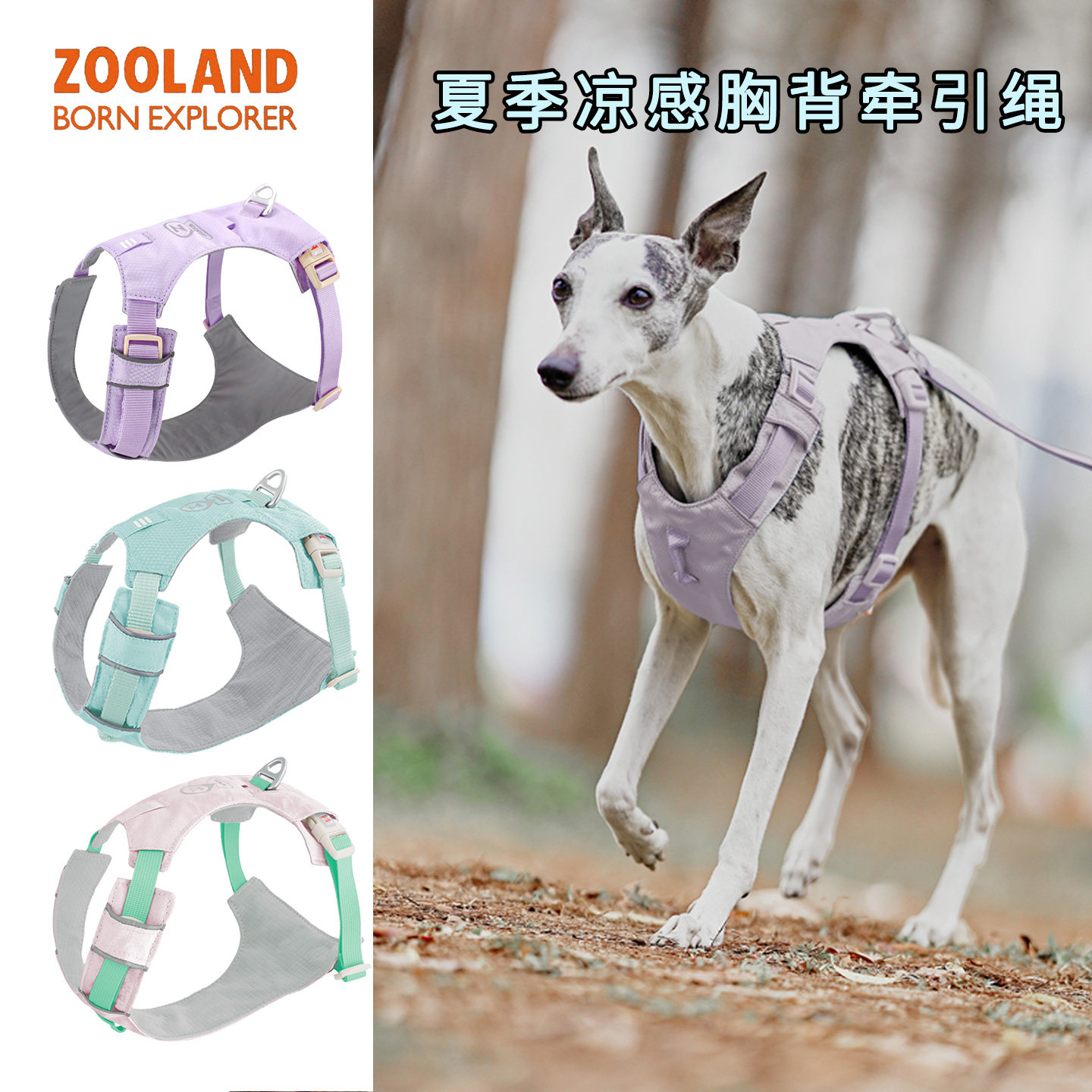 zooland狗狗胸背带牵引绳图片