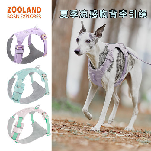 zooland狗狗胸背带牵引绳