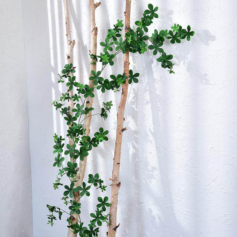 藤条假花藤子规叶墙面遮挡树叶吊顶藤蔓植物缠绕壁挂绿植真