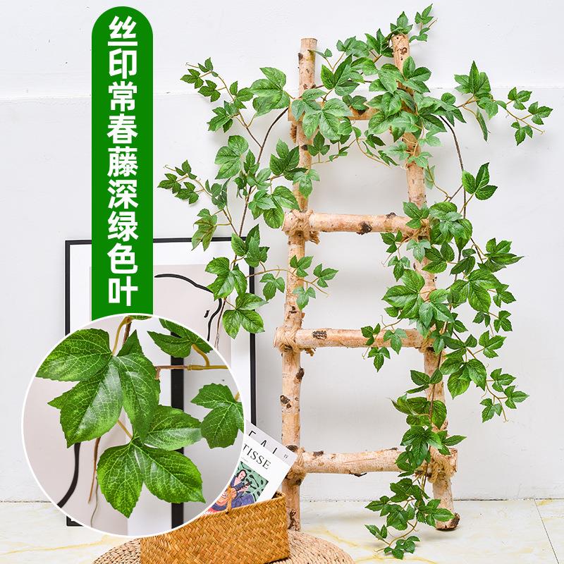 仿真爬山虎藤条常春藤假花装饰塑料藤蔓植物遮挡吊顶树叶绿植