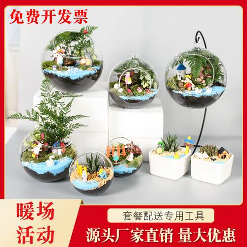 创意苔藓微景观diy材料包 生态瓶子多肉摆件礼品套装