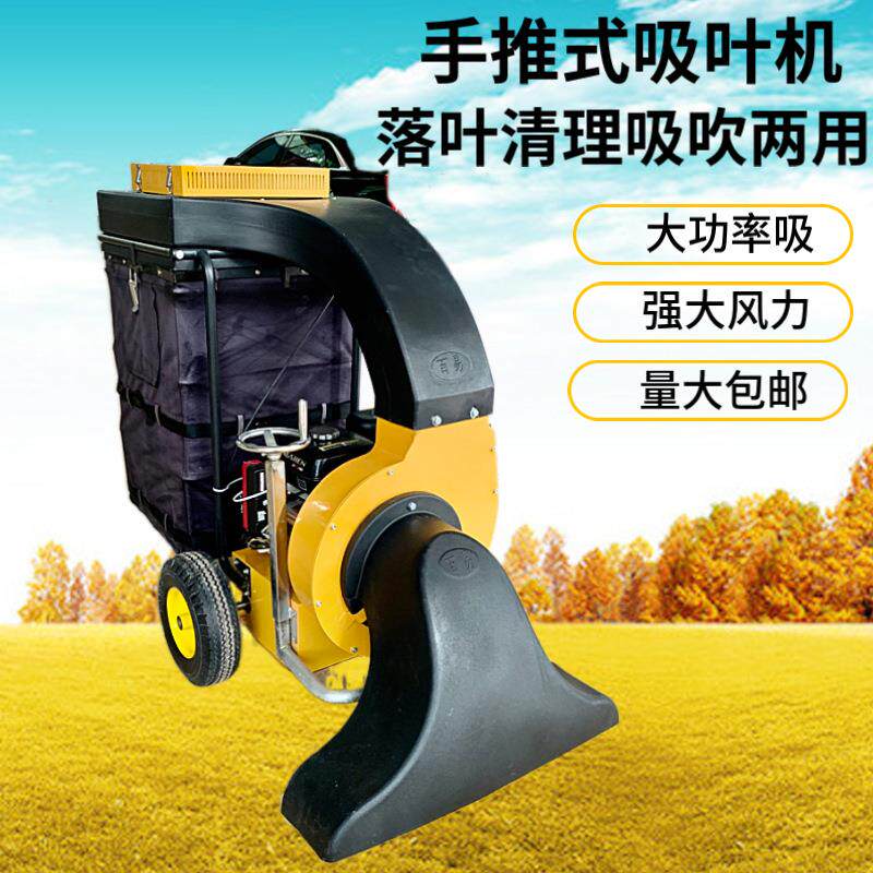 自动行走式吸叶机 落叶收集器 道路边树叶吸吹机手推式汽油吸叶机