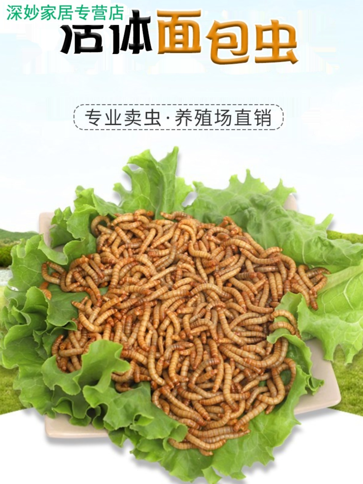 喂幼鸟吃的虫子小鸡鹦鹉百灵画眉八哥鱼饵食物燕子粮饲料面包虫活