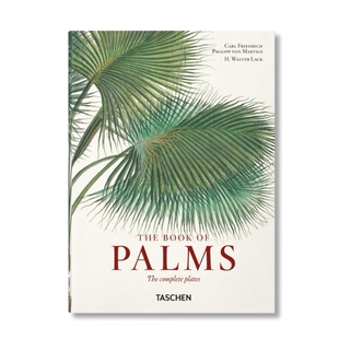 英文进口艺术画册 为什么美术馆 The Palms 马修斯：棕榈书 Martius. Book 享它 预售 TASCHEN 40周年版