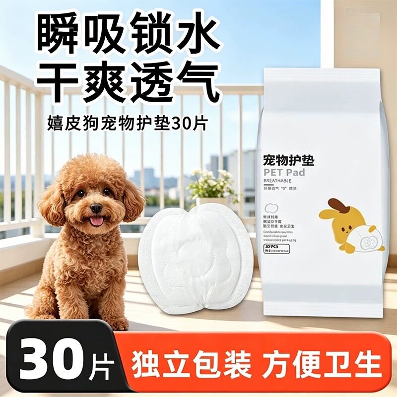 宠物专用生理期护垫|中小型犬+