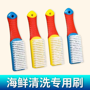 洗螃蟹生蚝清洁刷子无死角刷鲍鱼海鲜手动毛刷多功能厨房洗菜烧烤
