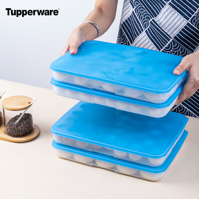 特百惠冷冻饺子保鲜盒