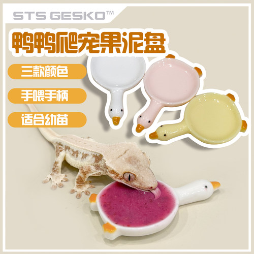 爬宠幼苗专用果泥盘食碟碗鸭鸭手柄可手喂睫角守宫蜥蜴盖勾亚R属