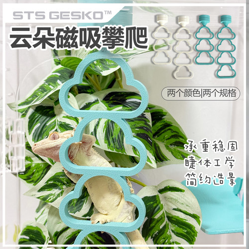 睫角守宫云朵磁吸攀爬可爱造景3D打印攀爬棒守宫丰荣清新