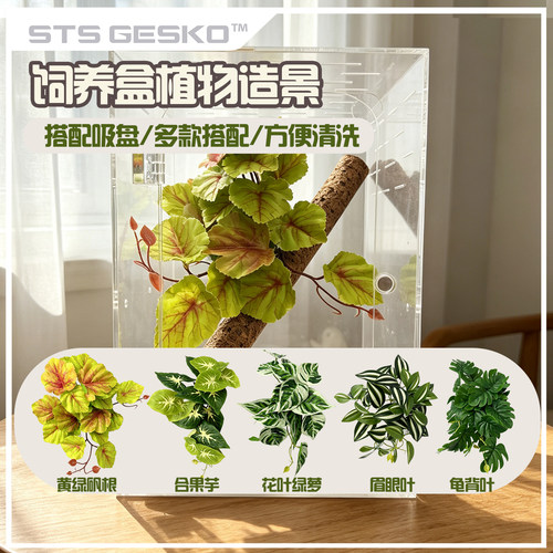 爬宠仿真植物造景吸盘睫角守宫