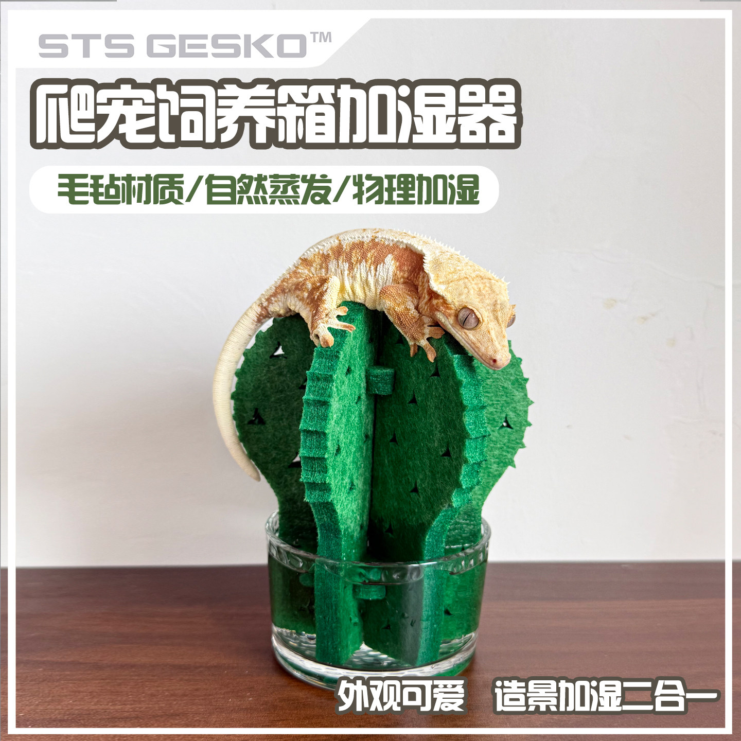 爬宠饲养箱加湿器仙人掌物理加湿自然蒸发蜥蜴睫角守宫陆龟蜥蜴蛇