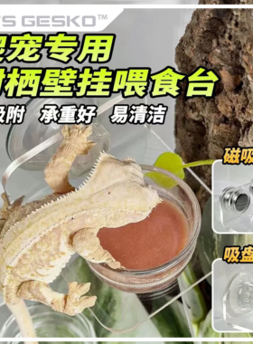 睫角守宫R属悬挂式食盆可移动磁铁树栖蜥蜴爬宠食盆碗吸盘挂水碗