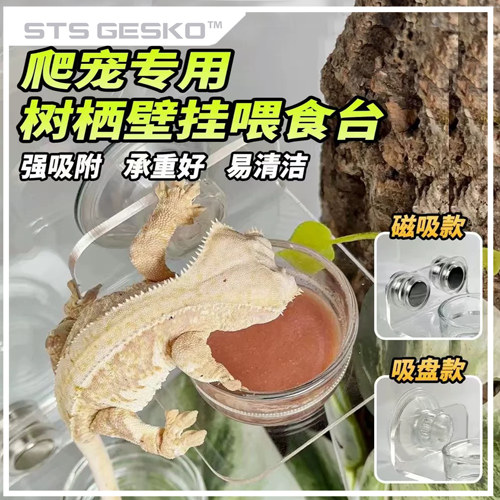 睫角守宫R属悬挂式食盆