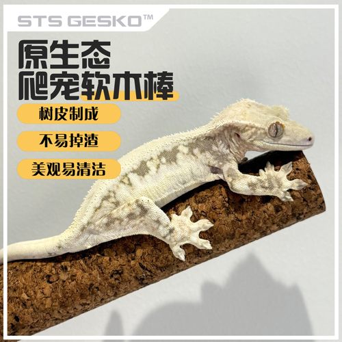 软木棍树栖爬宠攀爬棍软木棒鹦鹉睫角盖勾亚R属守宫树蛙造景藤蔓