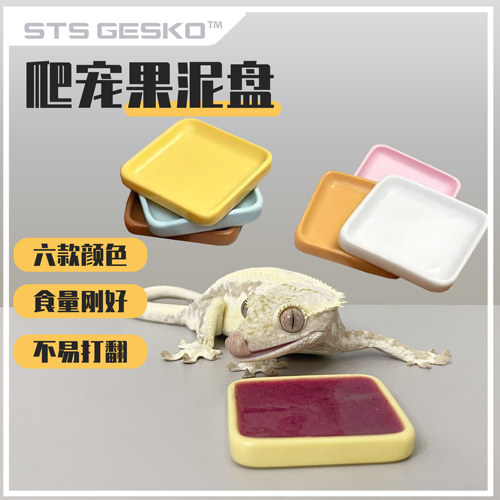 爬宠食盆果泥盘食碟碗