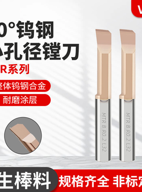 MTR钨钢小孔径镗刀数控内孔精镗刀抗震合金小径车刀微型加工刀具